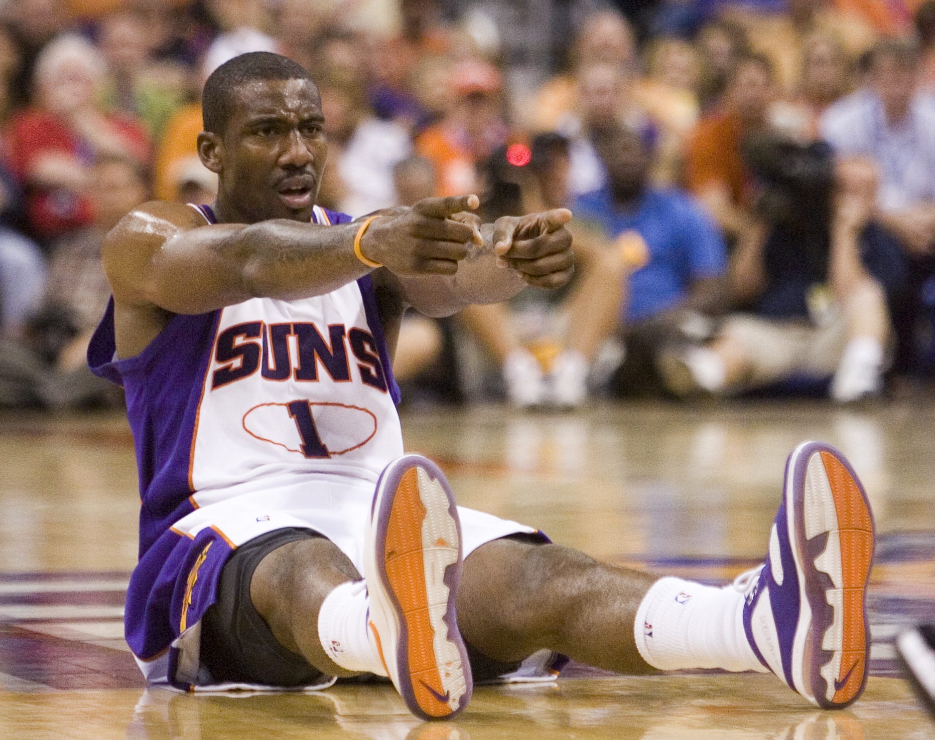 amare stoudemire suns